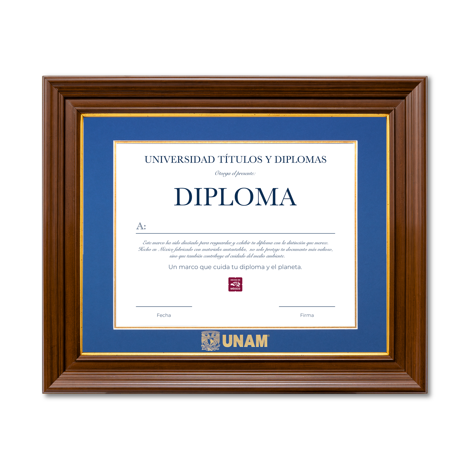 Diploma UNAM de Poliestireno