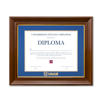 Diploma UNAM de Poliestireno