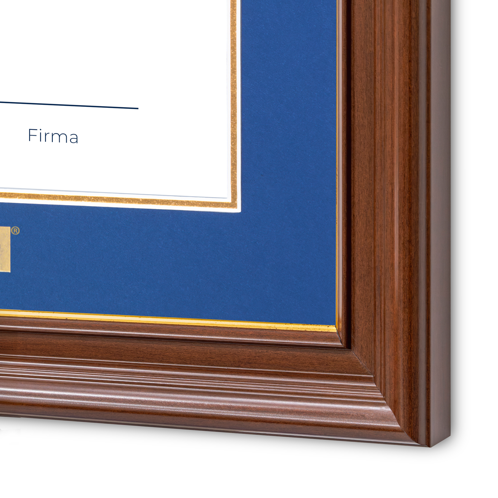 Diploma UNAM de Madera