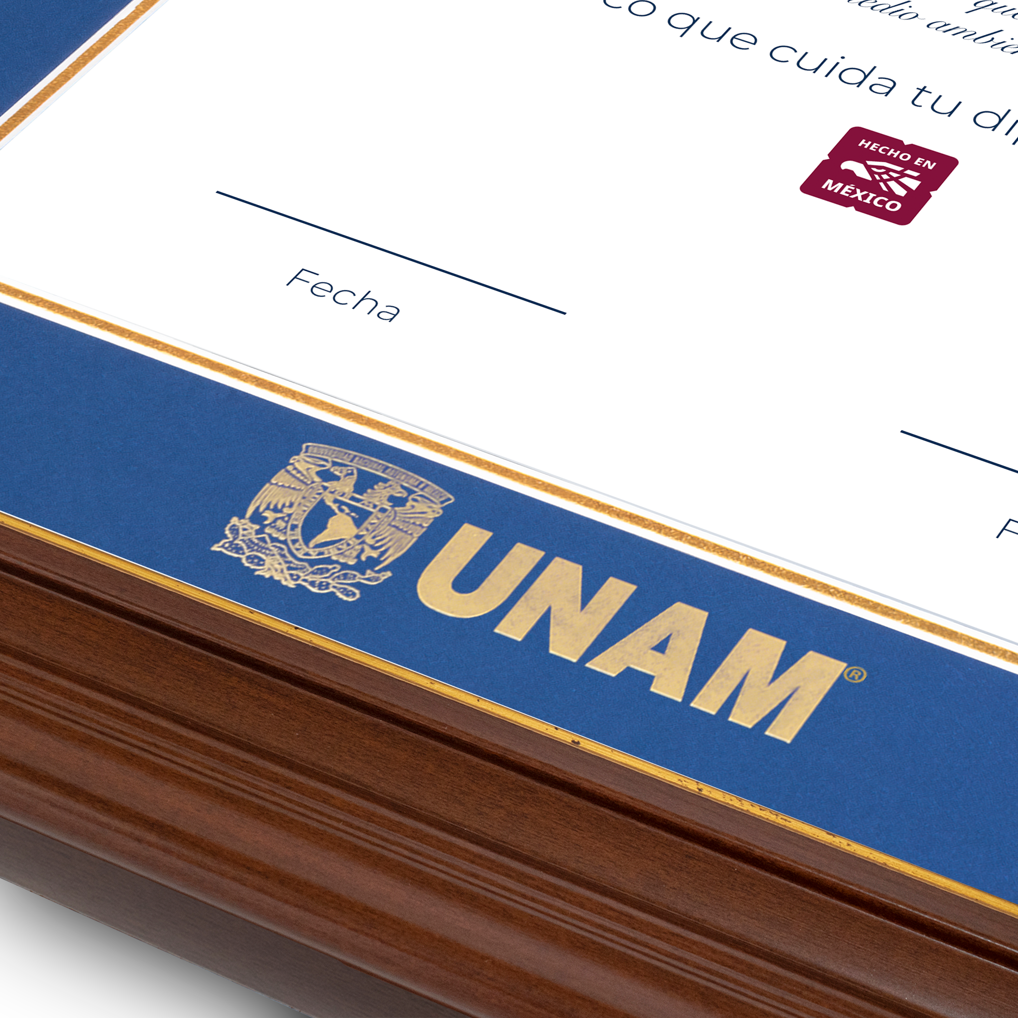 Diploma UNAM de Madera