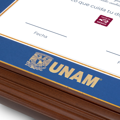 Diploma UNAM de Poliestireno