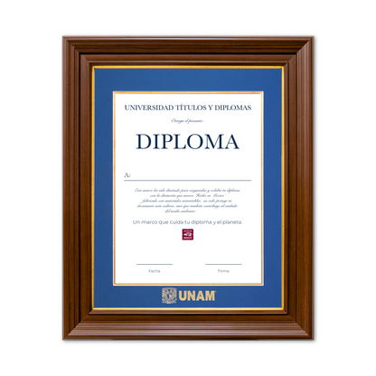 Diploma UNAM de Poliestireno