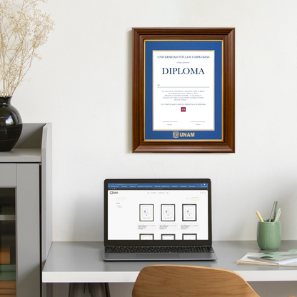 Diploma UNAM de Poliestireno
