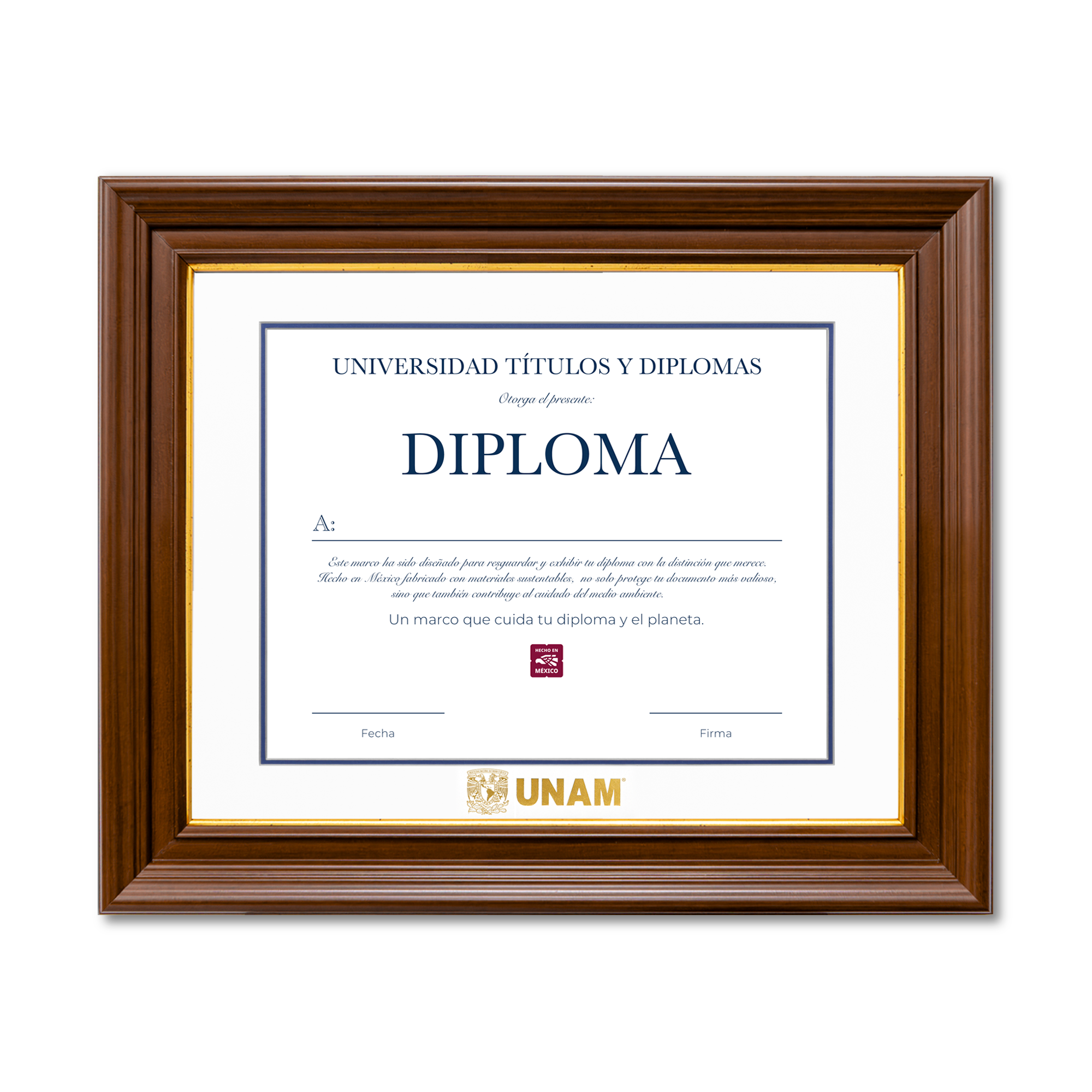 Diploma UNAM de Poliestireno