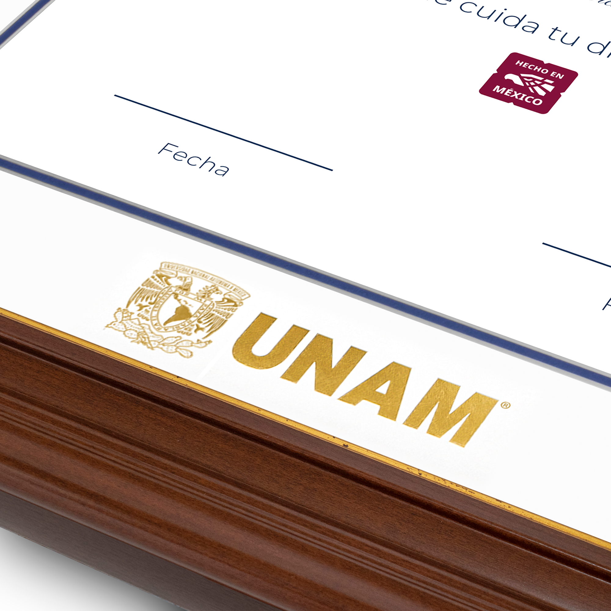 Diploma UNAM de Madera