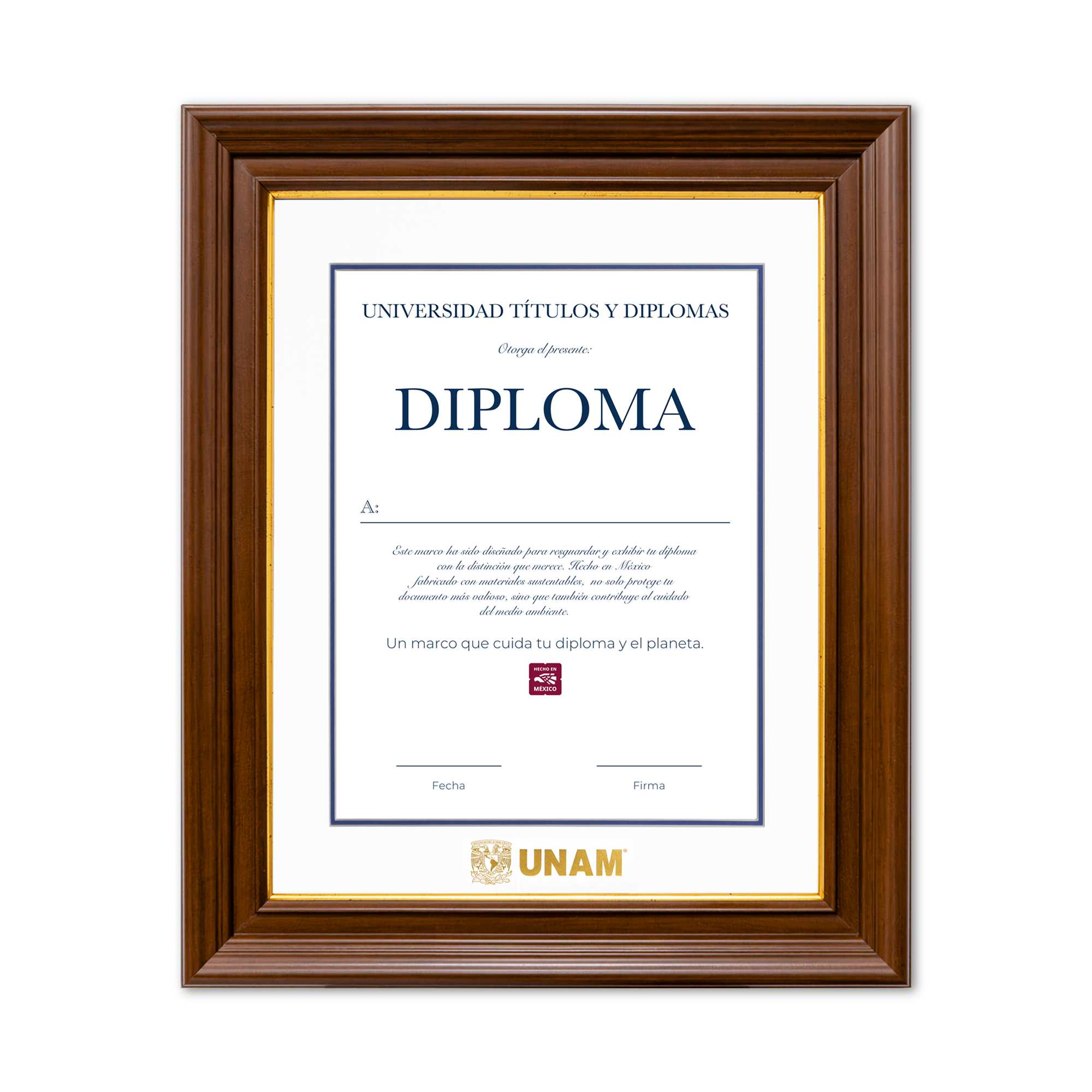 Diploma UNAM de Madera