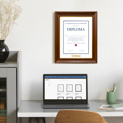 Diploma UNAM de Poliestireno