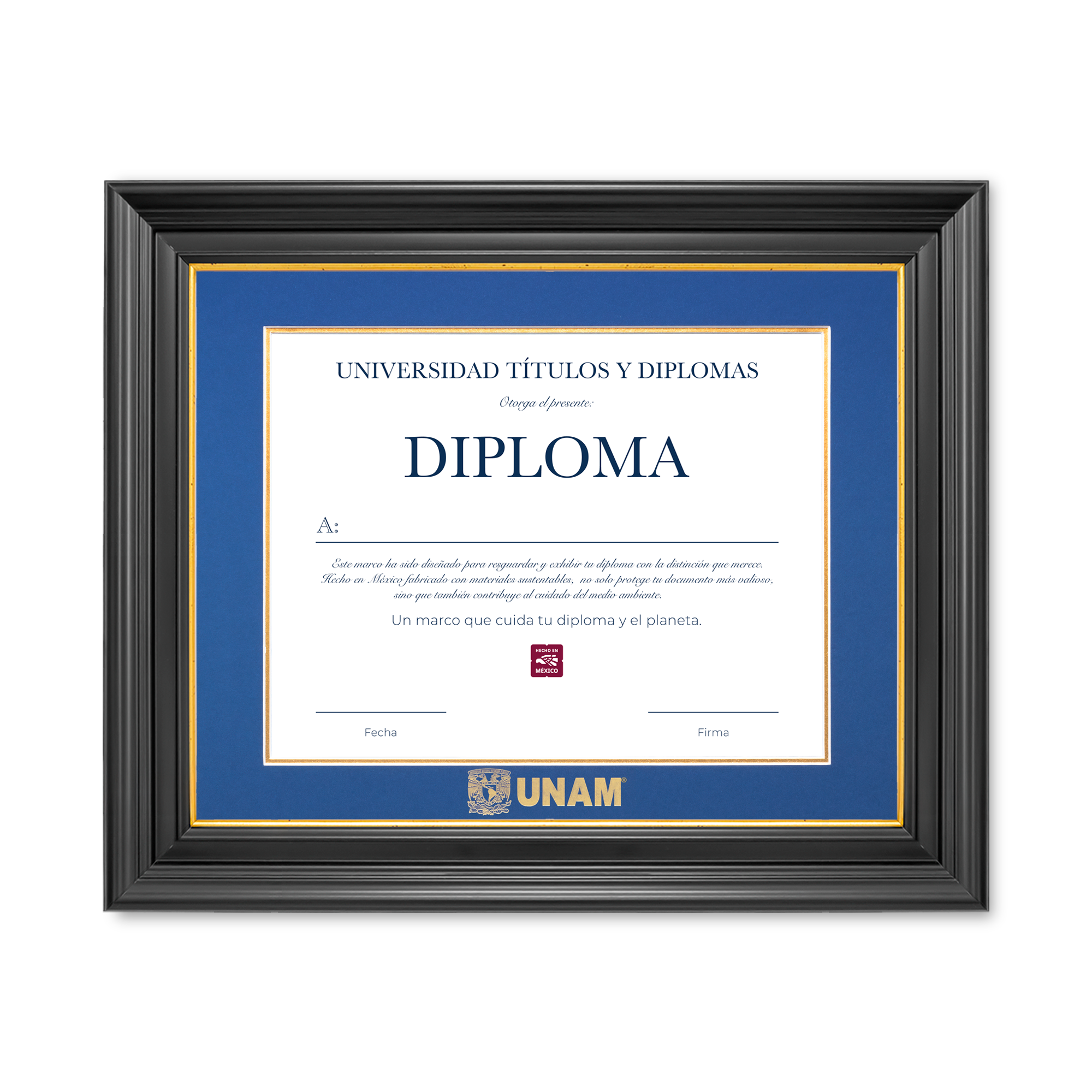 Diploma UNAM de Poliestireno