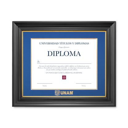 Diploma UNAM de Poliestireno