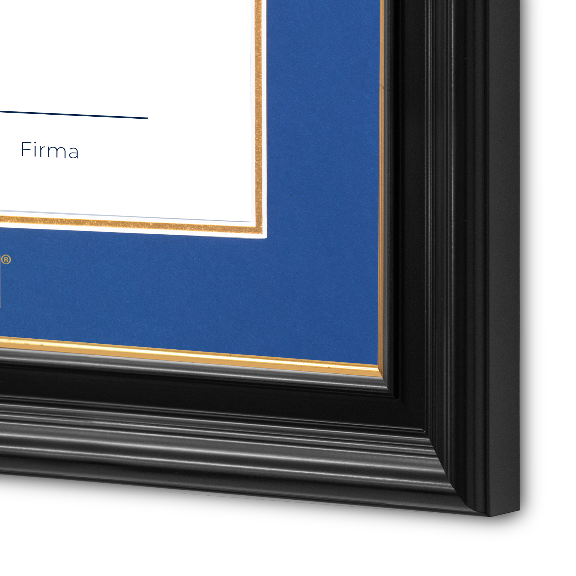 Diploma UNAM de Madera