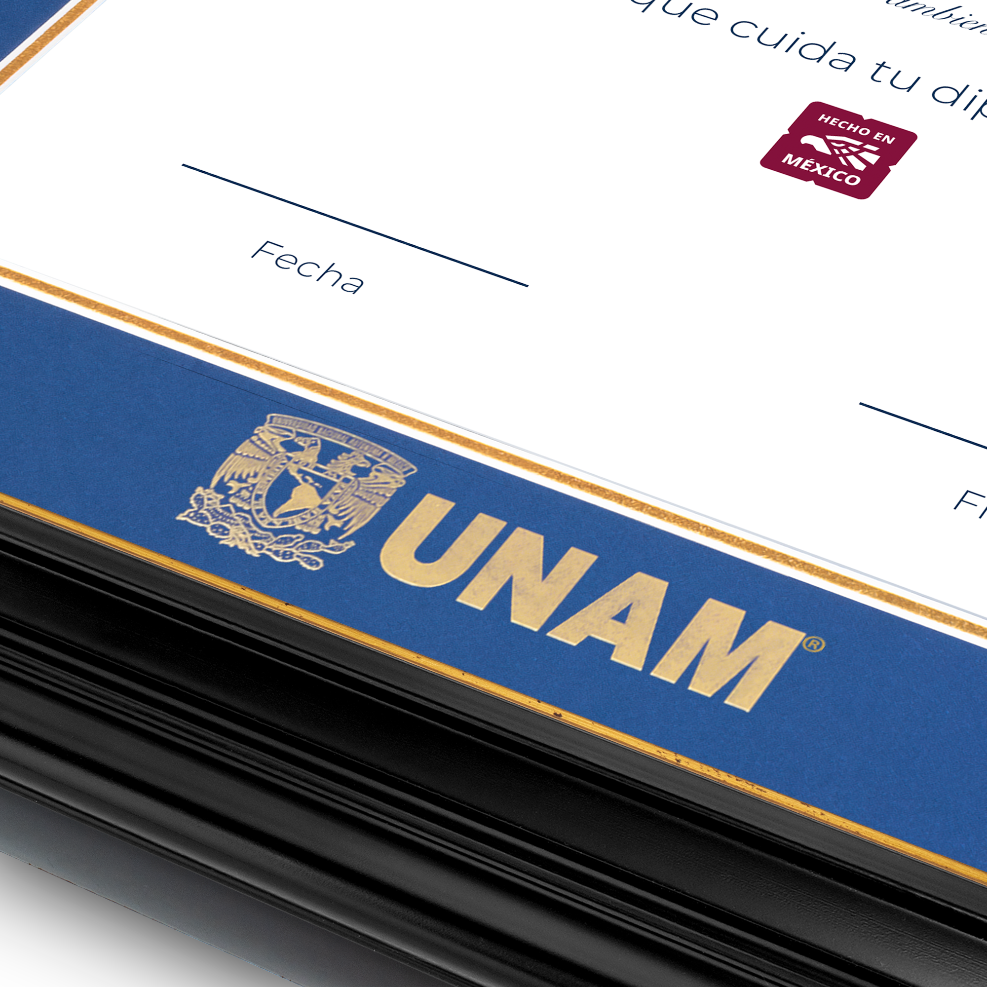 Diploma UNAM de Madera