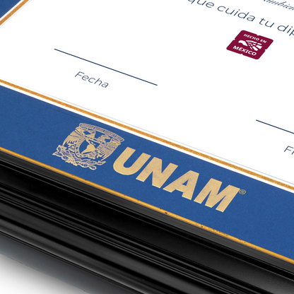 Diploma UNAM de Poliestireno