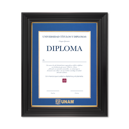 Diploma UNAM de Poliestireno