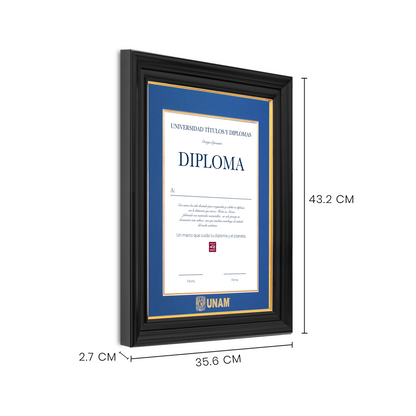 Diploma UNAM de Poliestireno