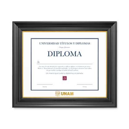 Diploma UNAM de Poliestireno