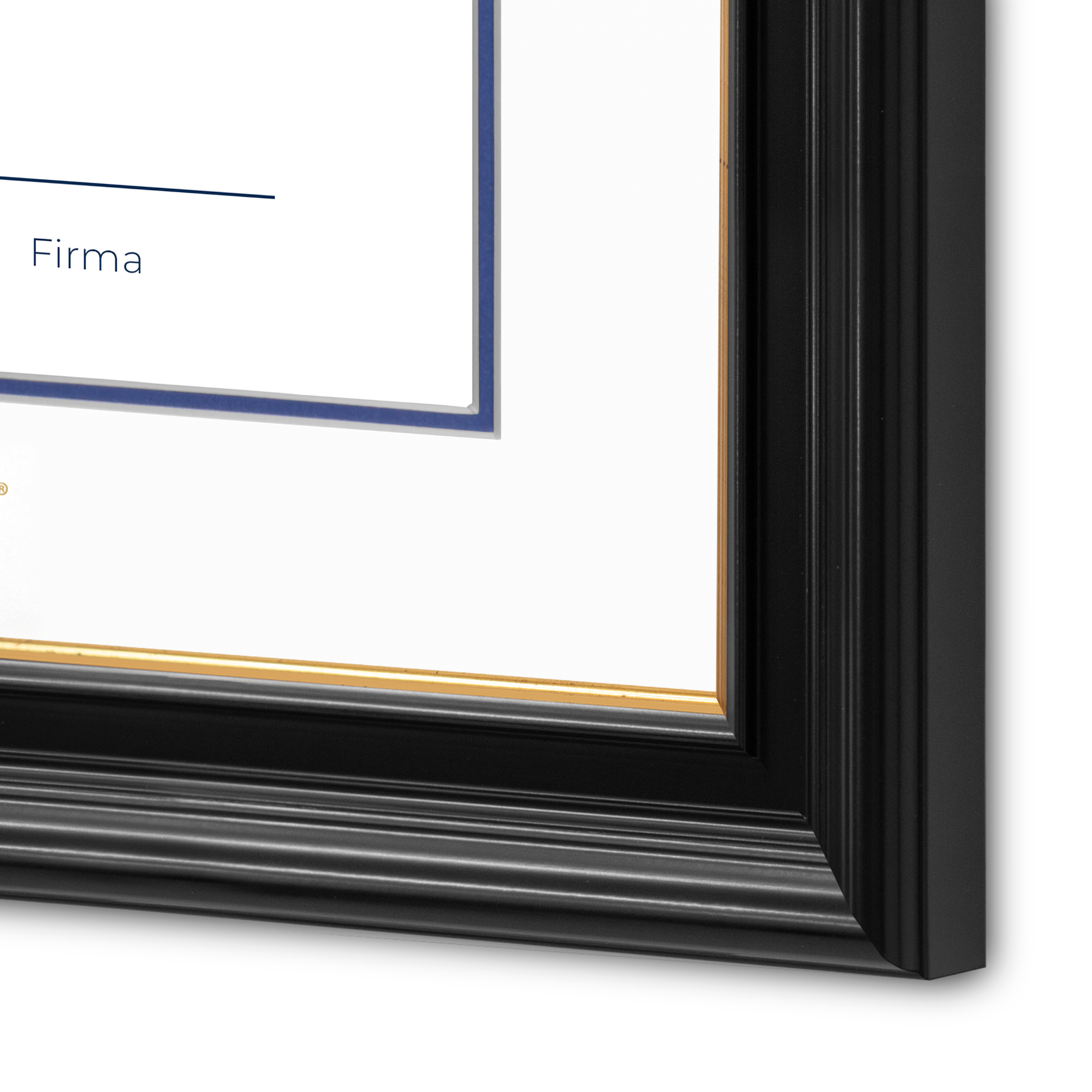 Diploma UNAM de Madera