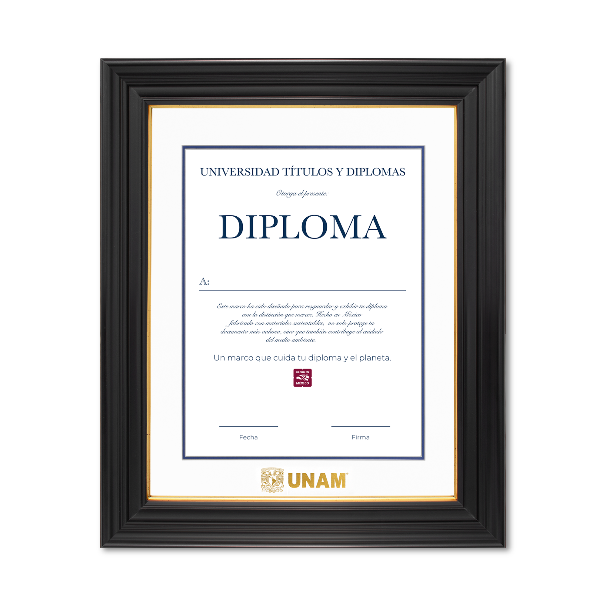 Diploma UNAM de Madera