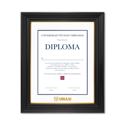 Diploma UNAM de Poliestireno