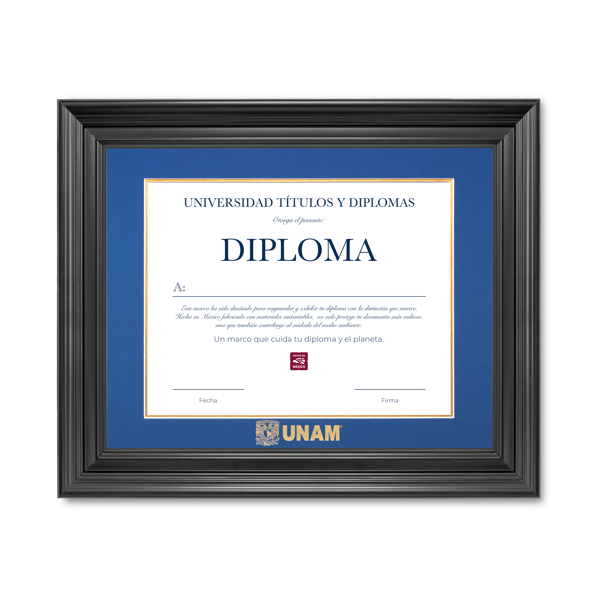 Diploma UNAM de Poliestireno