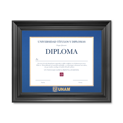 Diploma UNAM de Poliestireno