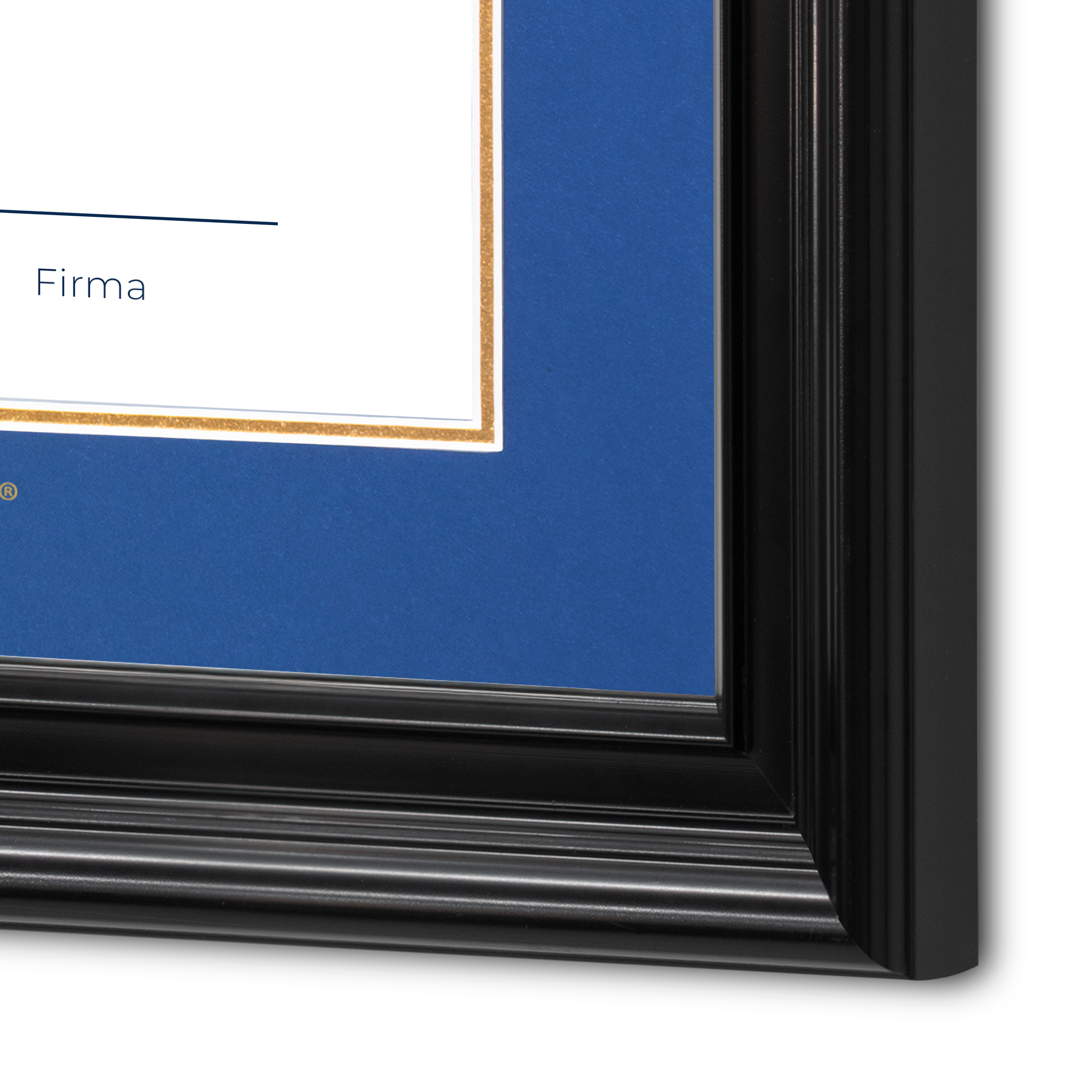 Diploma UNAM de Madera