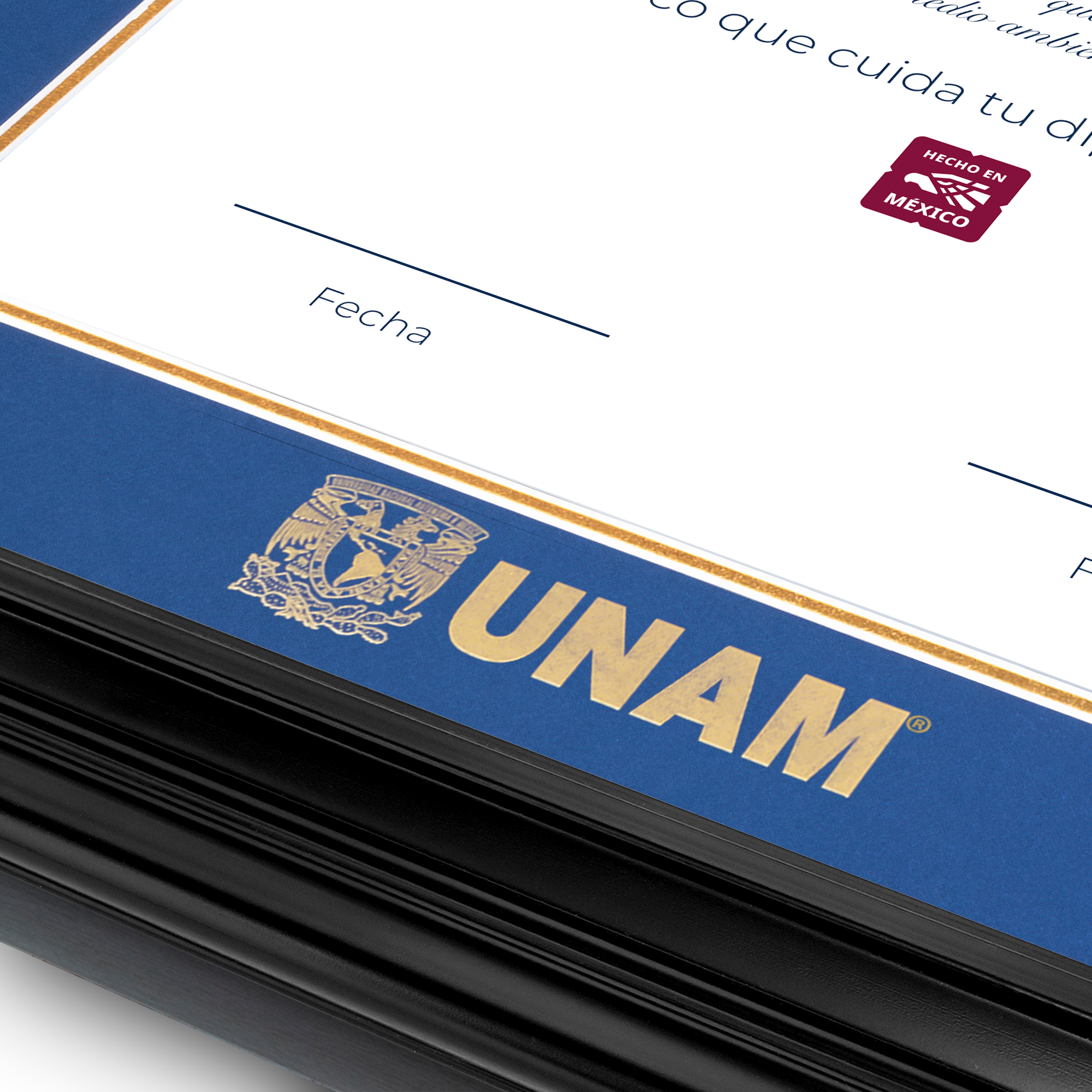 Diploma UNAM de Madera