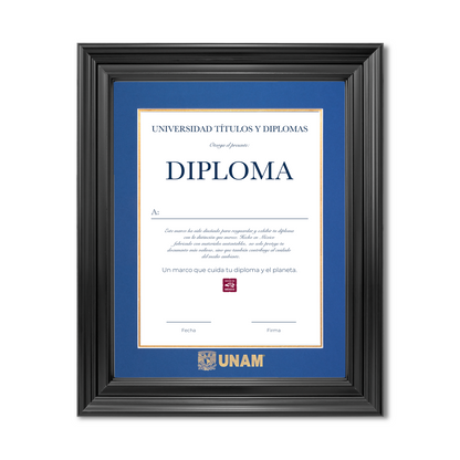 Diploma UNAM de Poliestireno