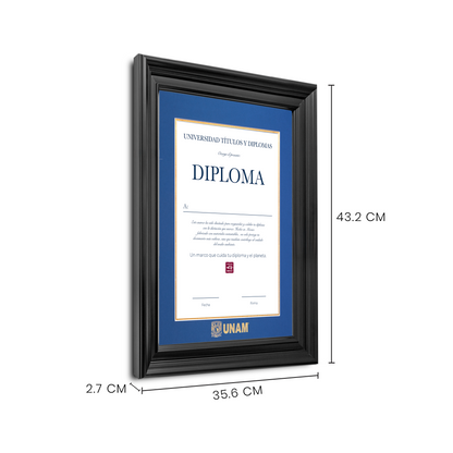 Diploma UNAM de Poliestireno
