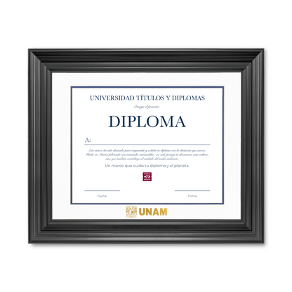 Diploma UNAM de Poliestireno