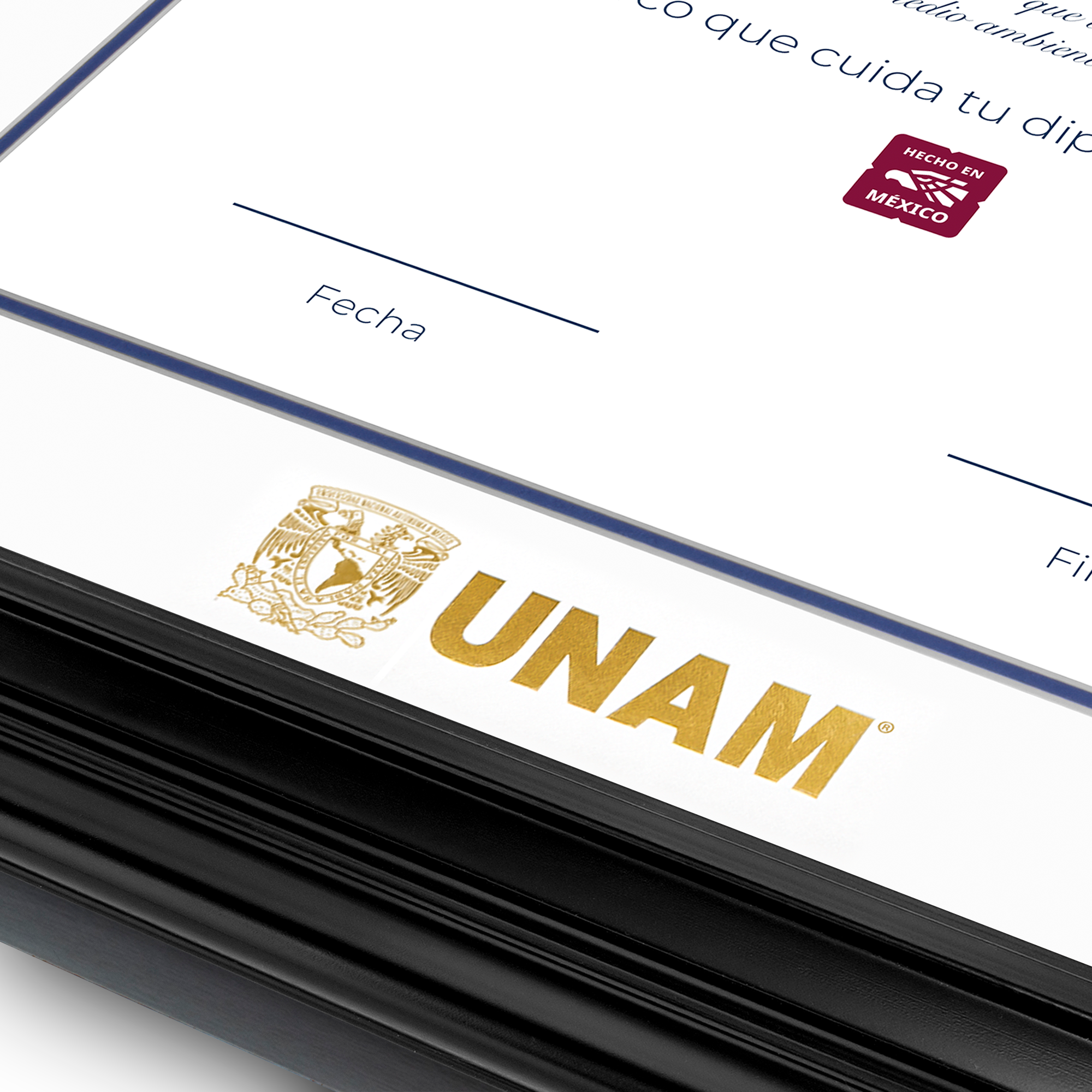 Diploma UNAM de Madera