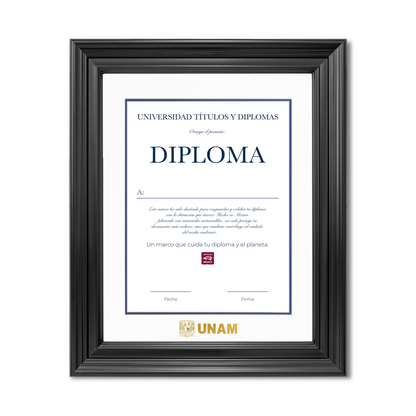 Diploma UNAM de Poliestireno