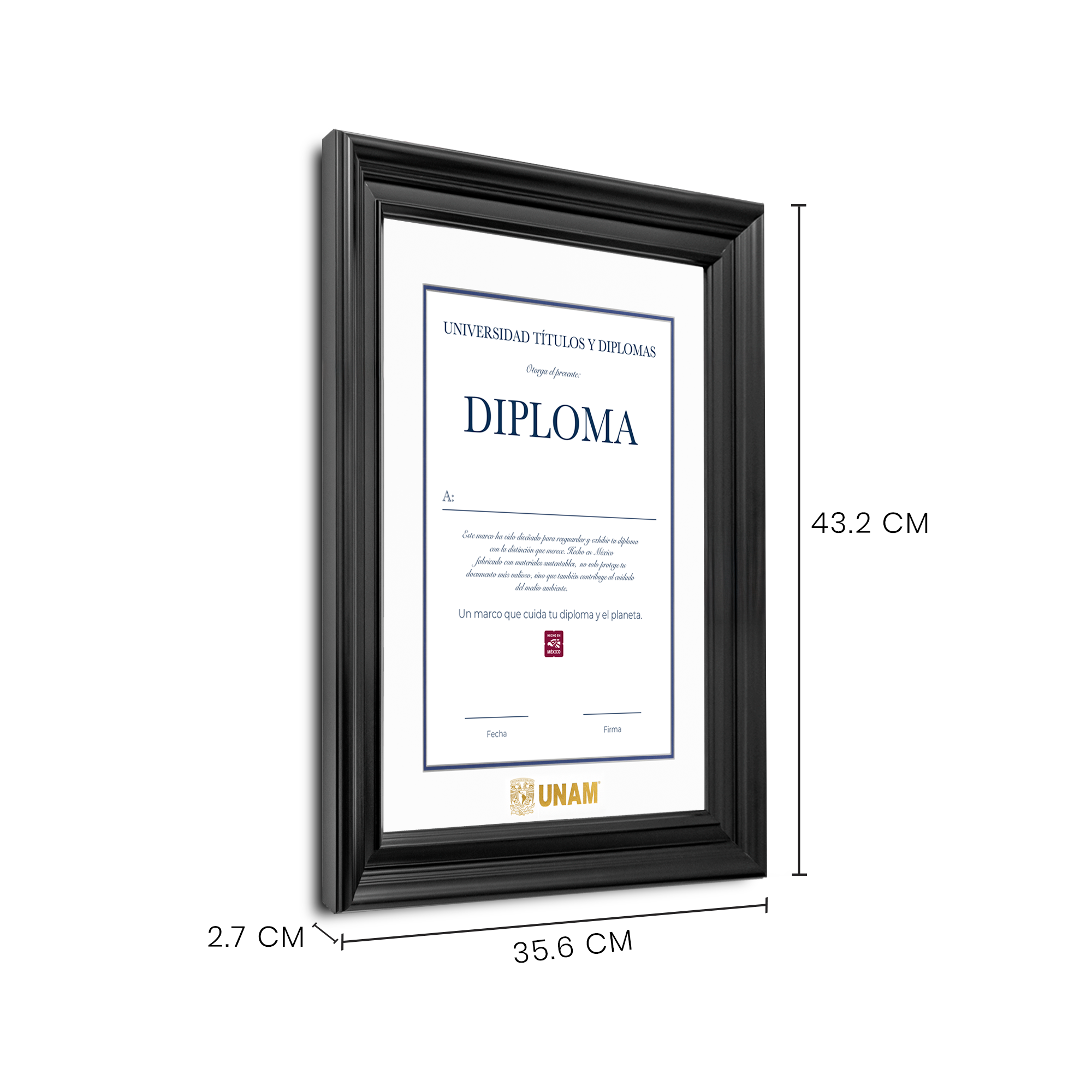 Diploma UNAM de Madera