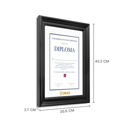 Diploma UNAM de Poliestireno