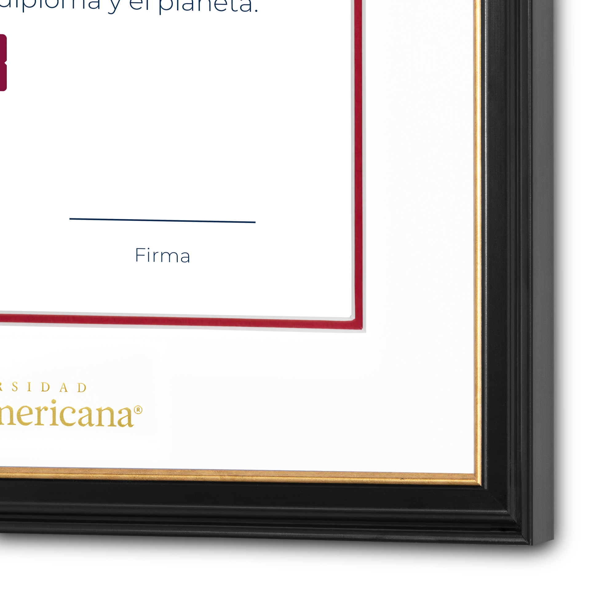Diploma oficial UP Marco negro