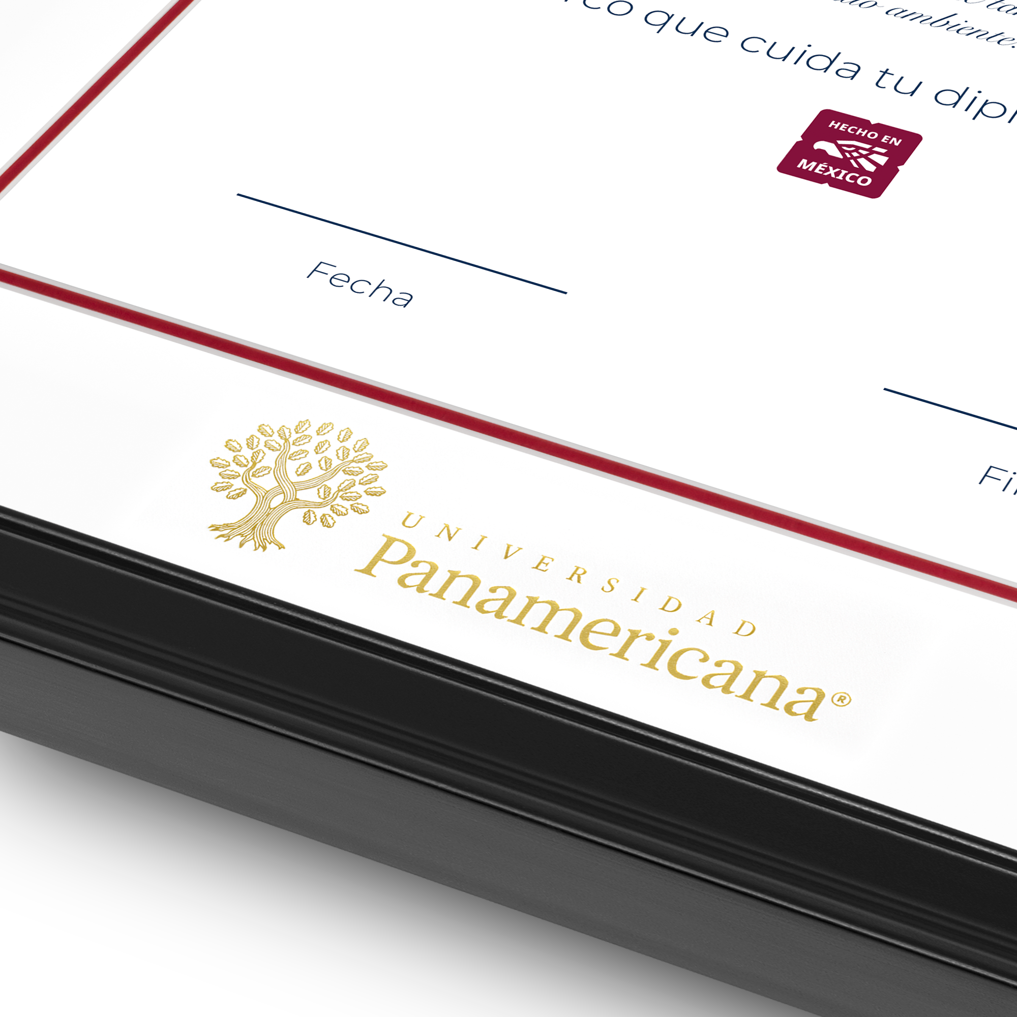 Diploma oficial UP Marco negro