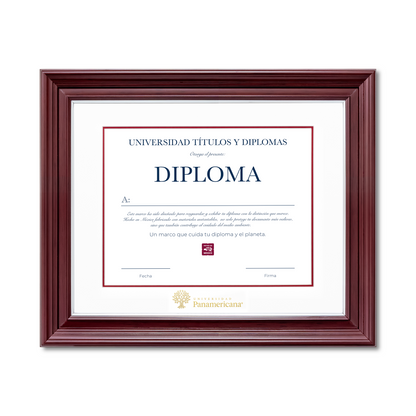 Diploma oficial UP Marco Nogal