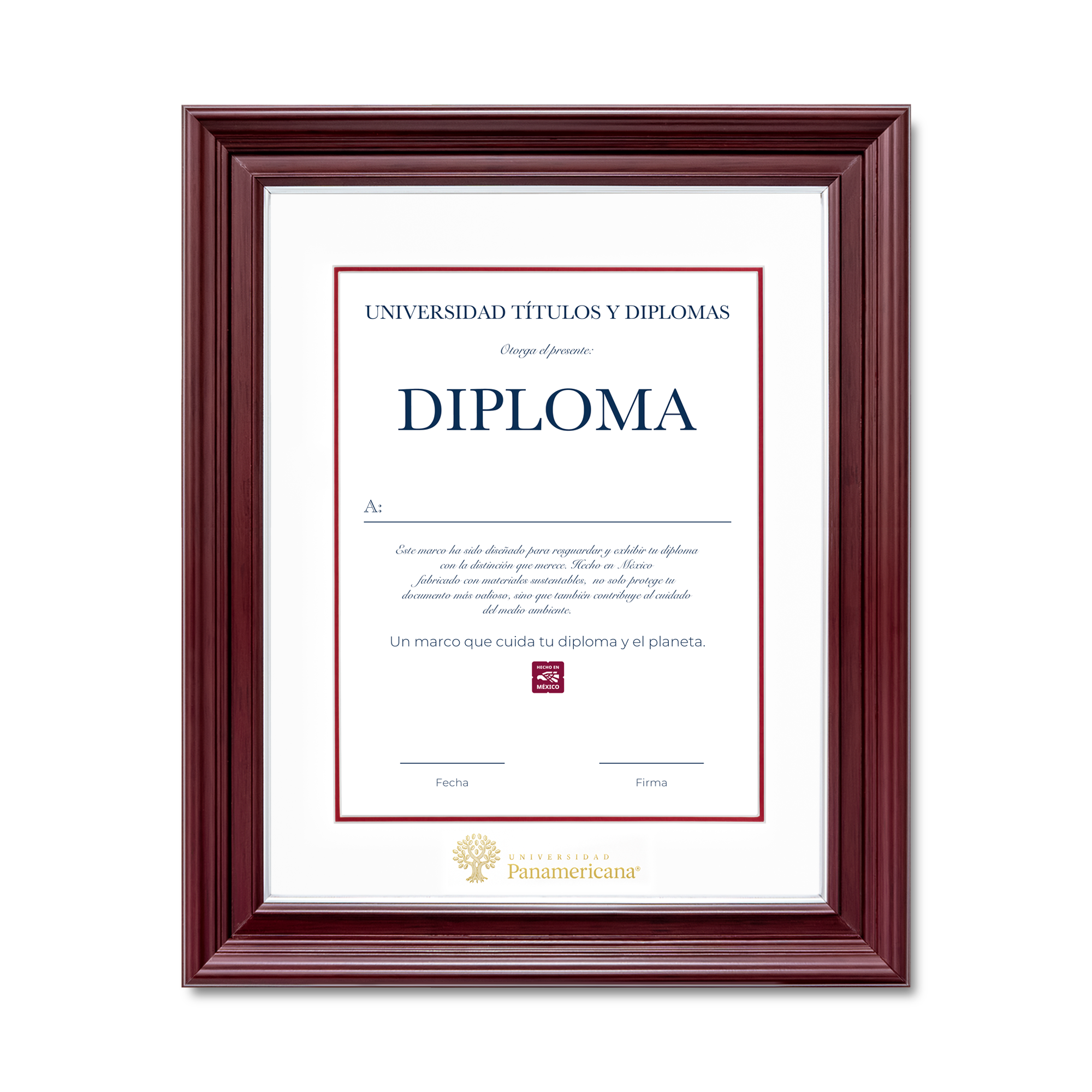 Diploma oficial UP Marco Nogal