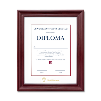 Diploma oficial UP Marco Nogal