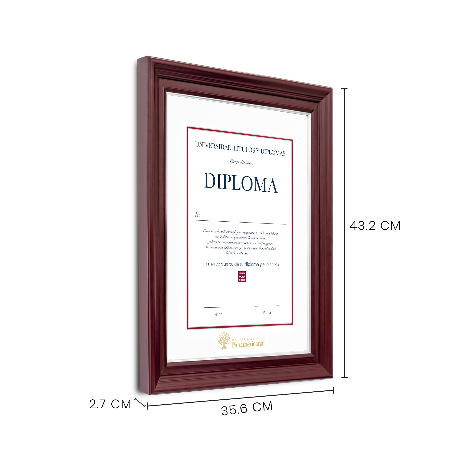 Diploma oficial UP Marco Nogal