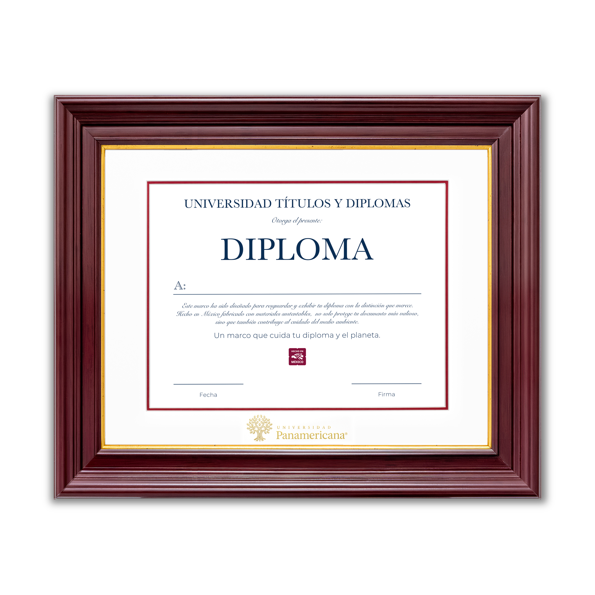 Diploma oficial UP Marco color nogal con filo dorado