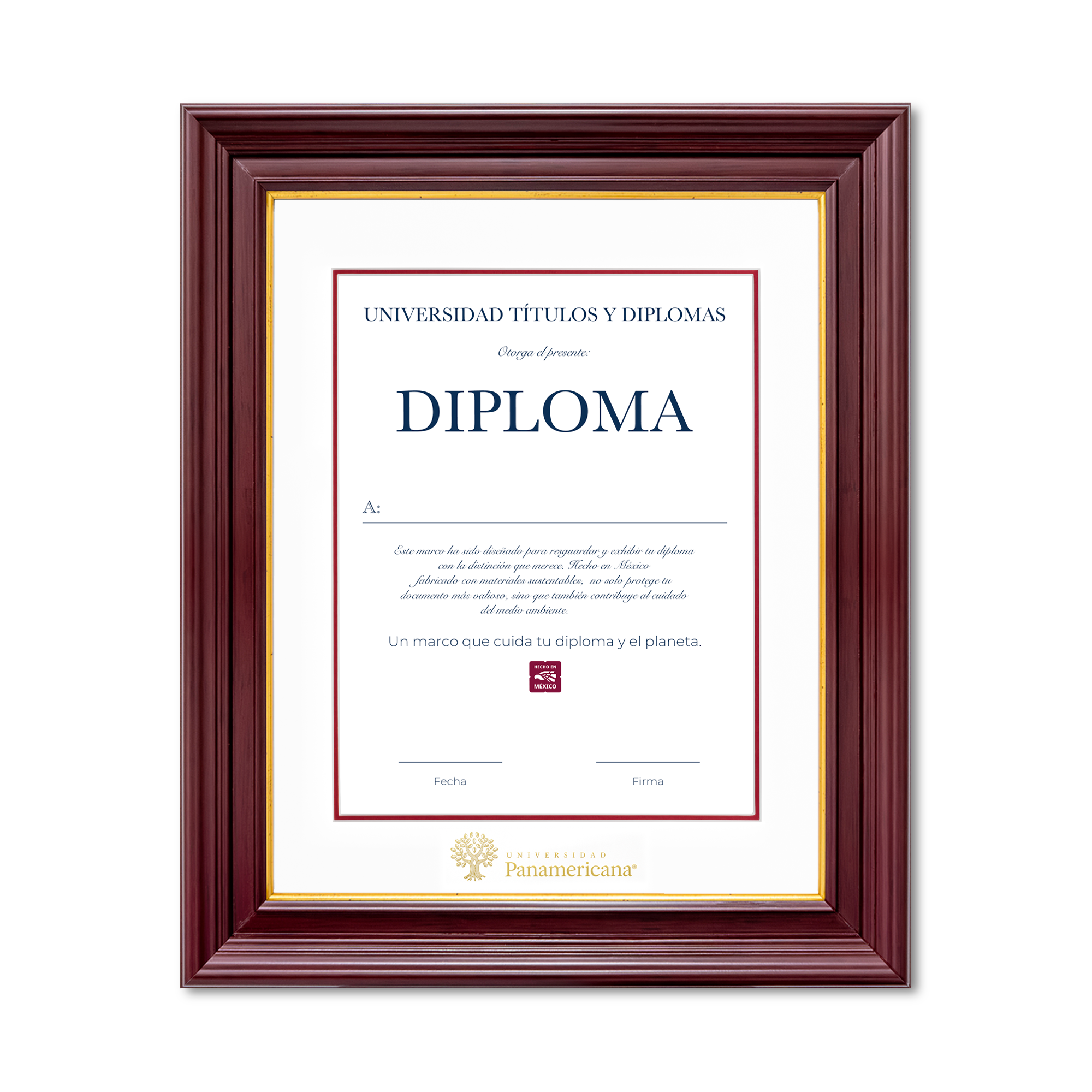 Diploma oficial UP Marco color nogal con filo dorado