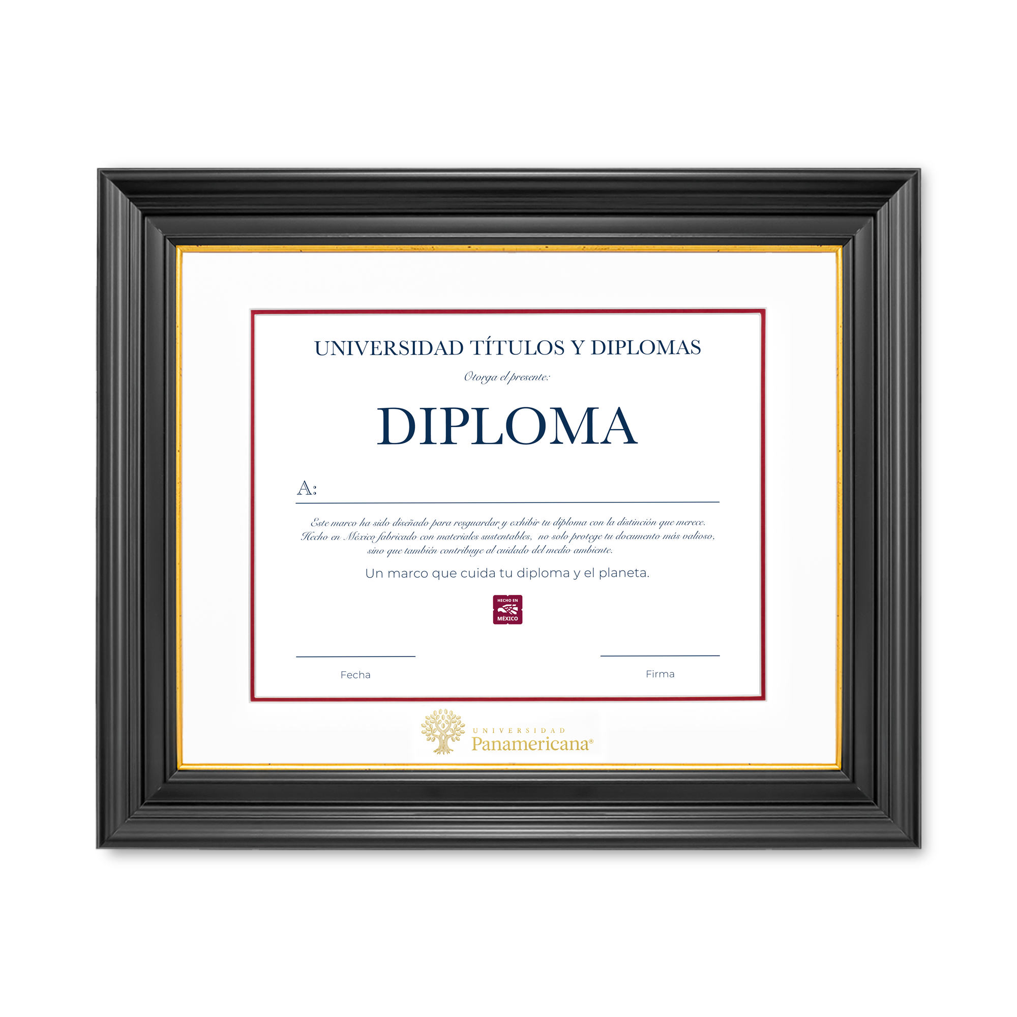 Diploma oficial UP Marco negro