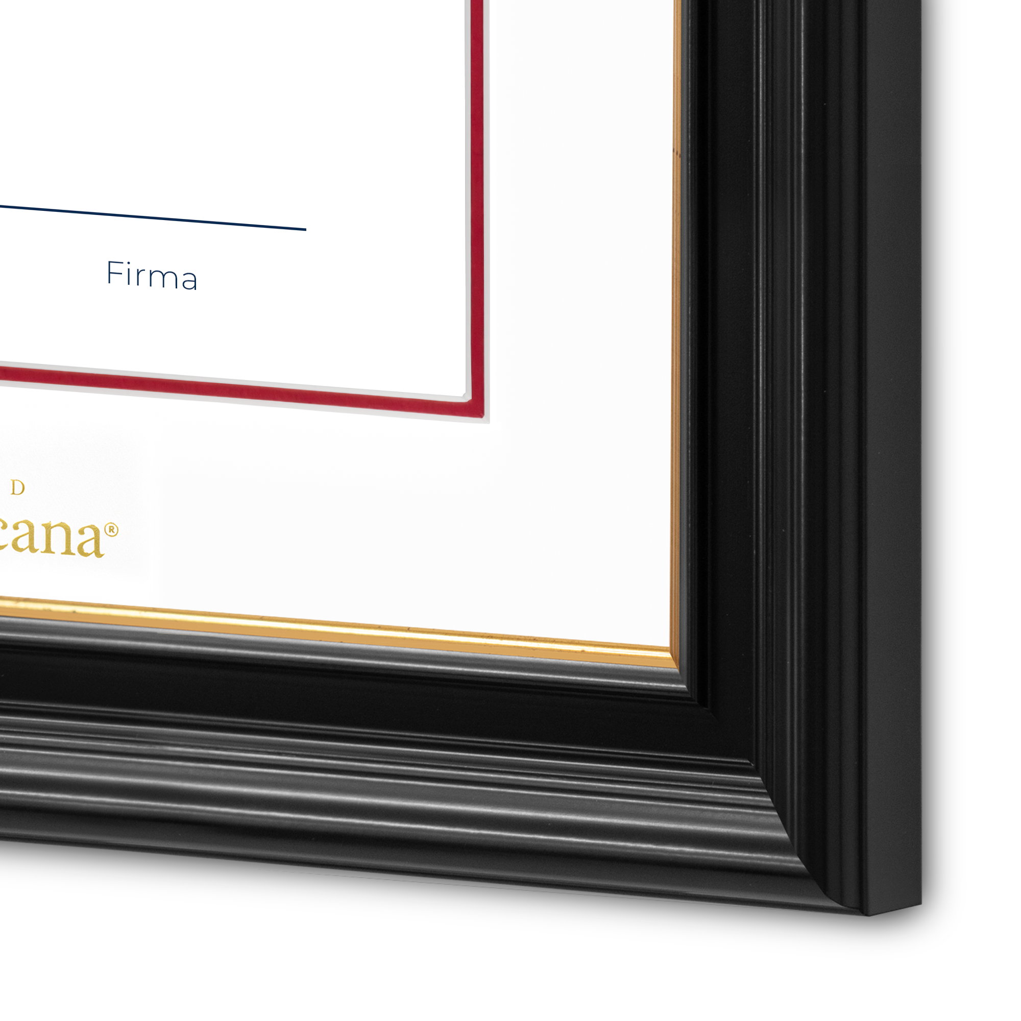 Diploma oficial UP Marco negro