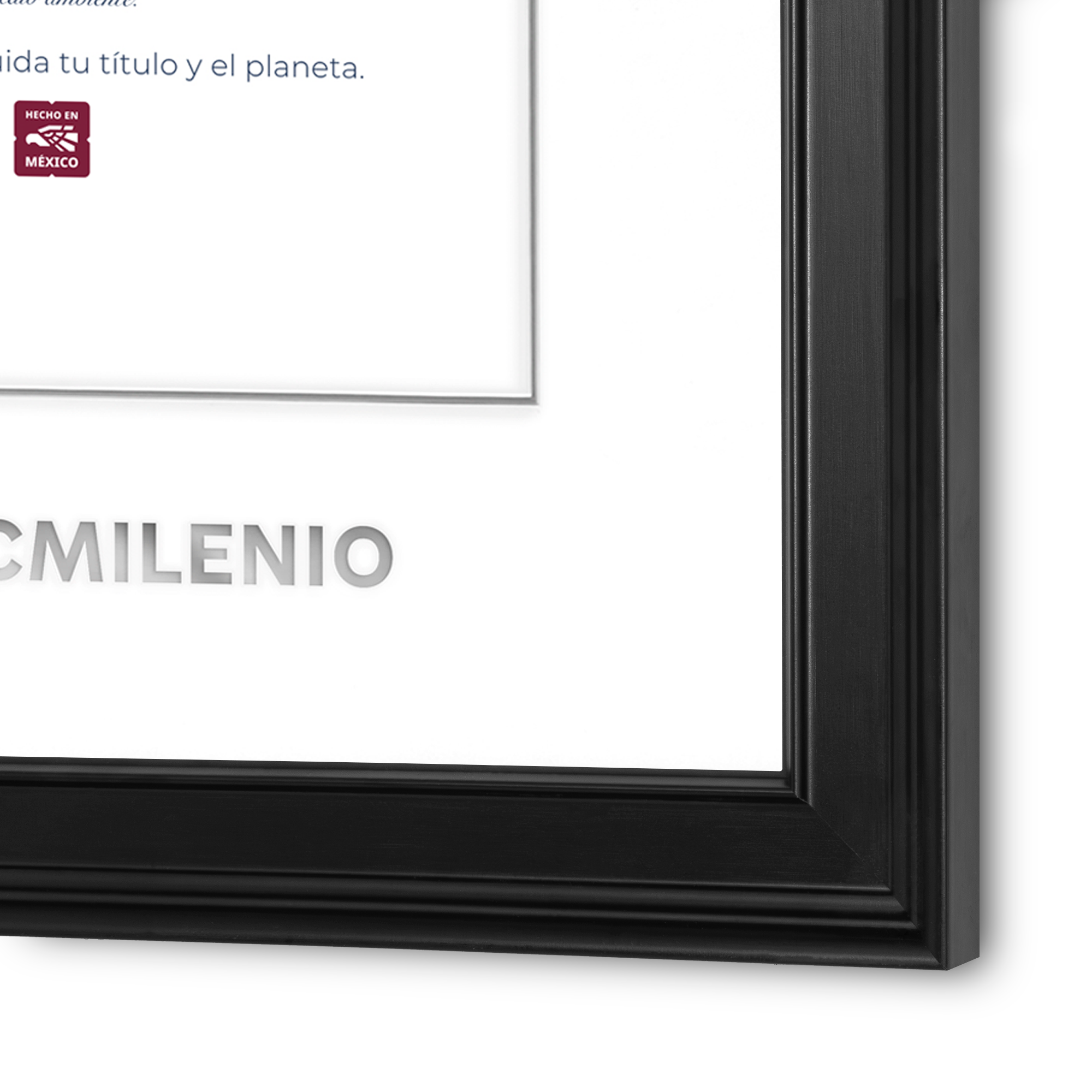Marco Oficial en Color Negro con Relieves para Universidad Tecmilenio