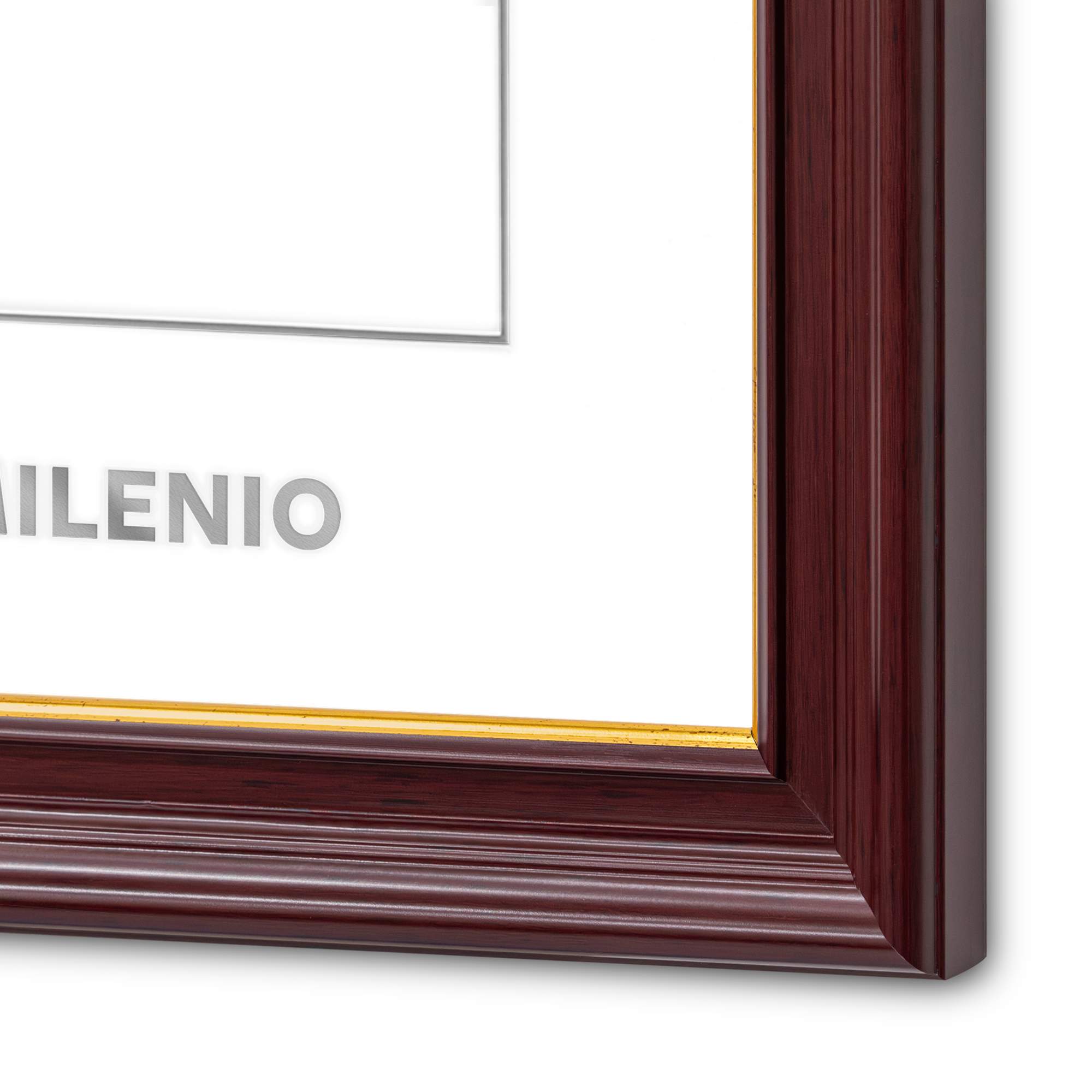 Marco Oficial en Color Caoba con Filo Dorado para Universidad Tecmilenio