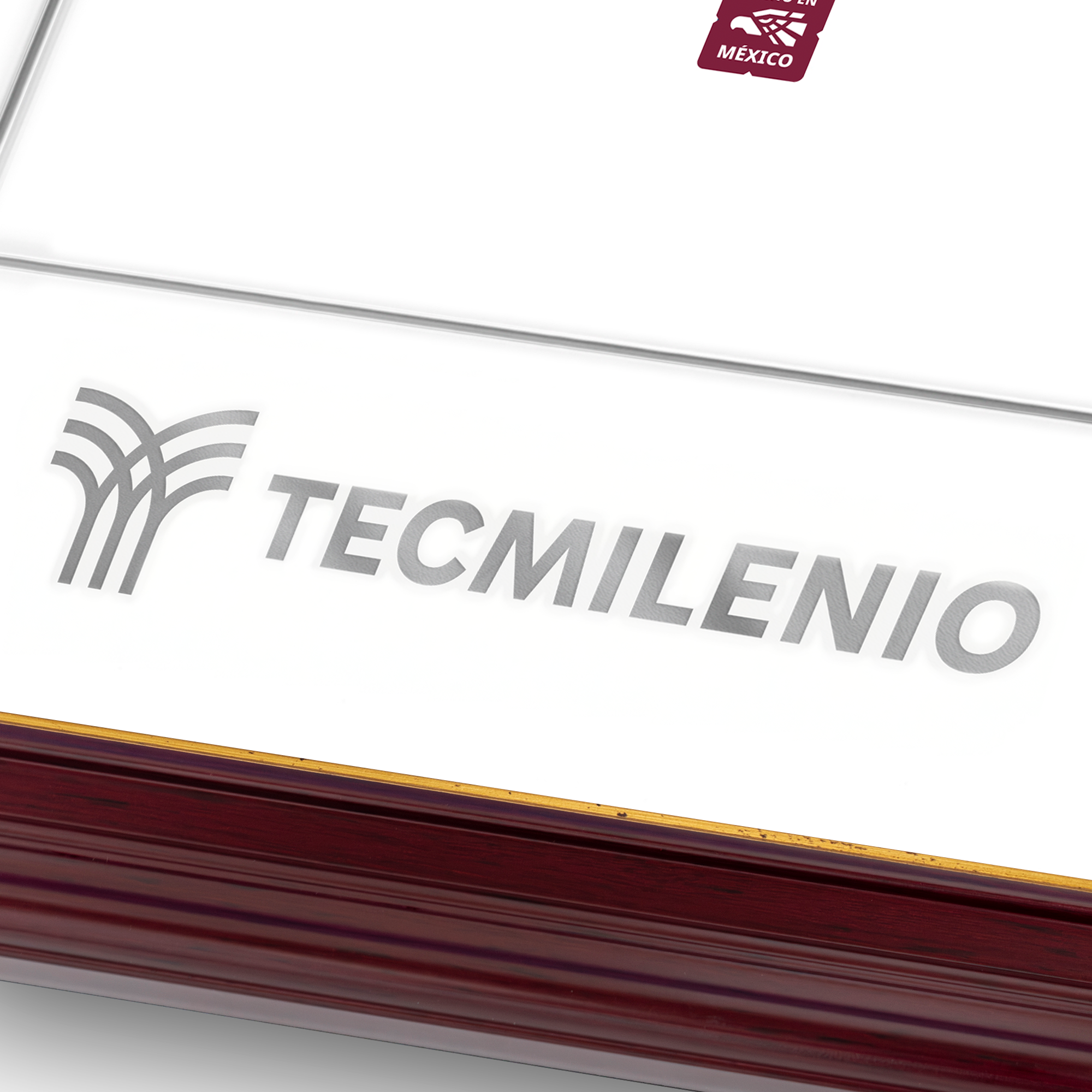 Marco Oficial en Color Caoba con Filo Dorado para Universidad Tecmilenio