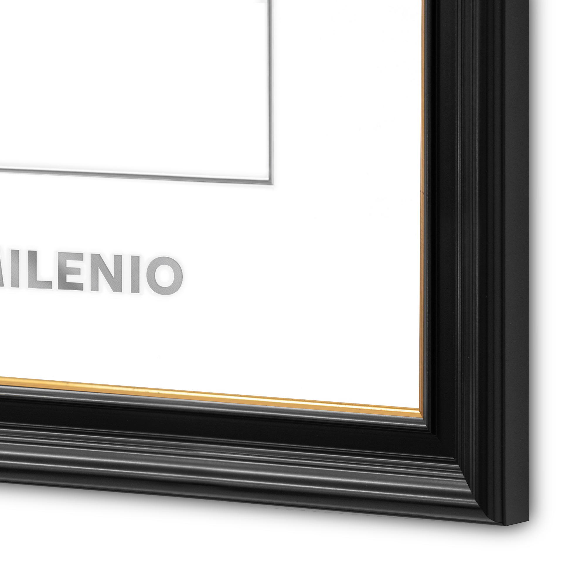 Marco Oficial en Color Negro con Relieves y Filo Dorado para Universidad Tecmilenio