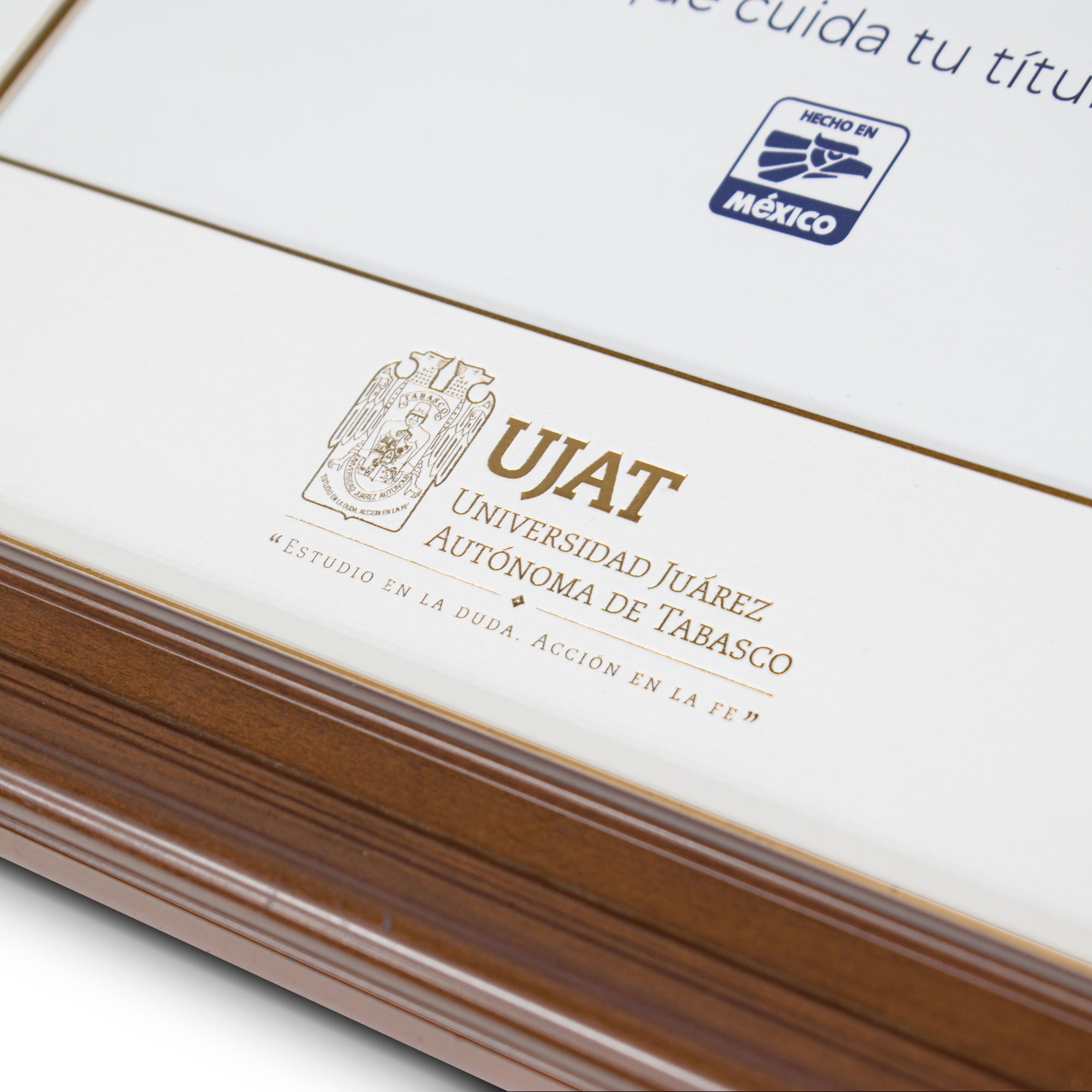 Marco Oficial en para Universidad Juarez Autónoma de Tabasco