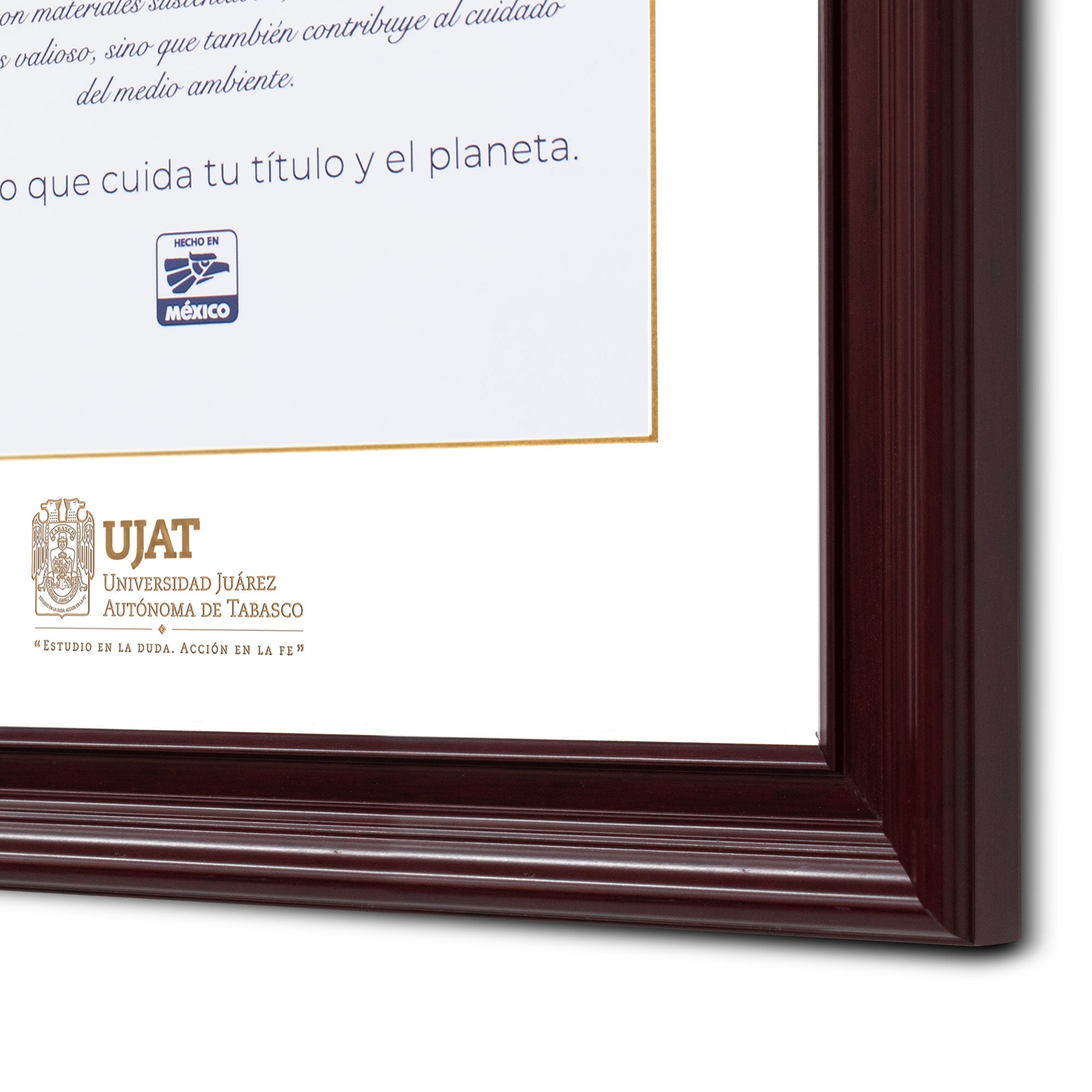 Marco Oficial en para Universidad Juarez Autónoma de Tabasco