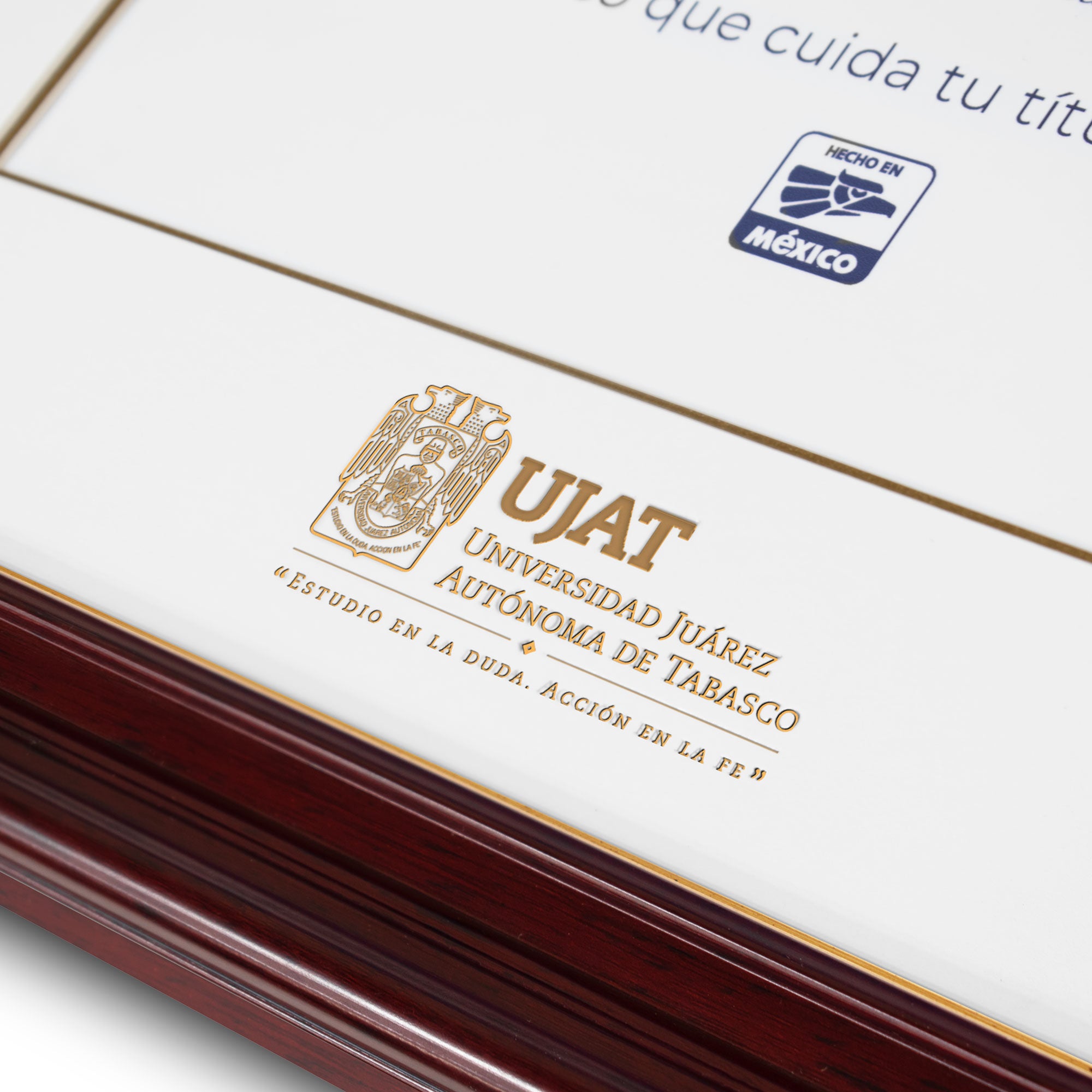 Marco Oficial para Universidad Juarez Autónoma de Tabasco